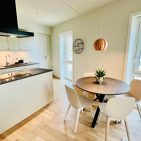 Apartment Penthouse *