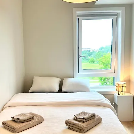 Penthouse Apartment *